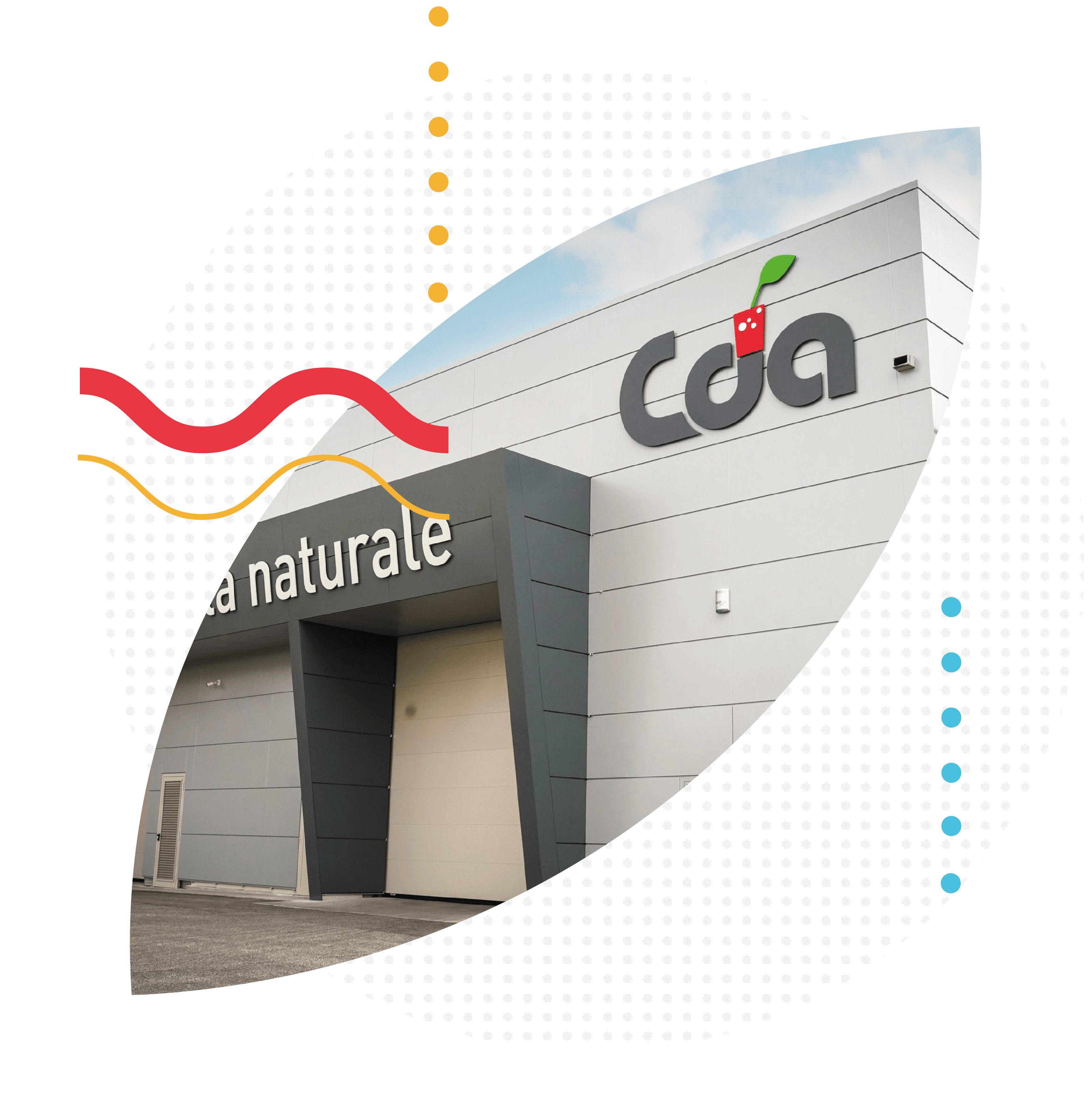 cda